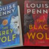 What I’m reading. While I’m writing!